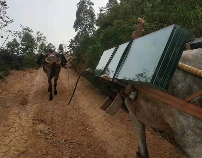 天台县马帮运输工程队